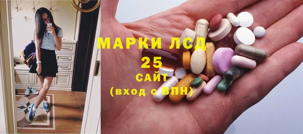 стафф Алзамай