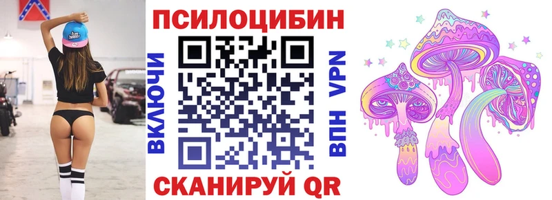 купить  сайты  Раменское  Псилоцибиновые грибы Cubensis 